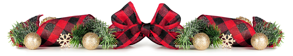 Black Friday Holiday