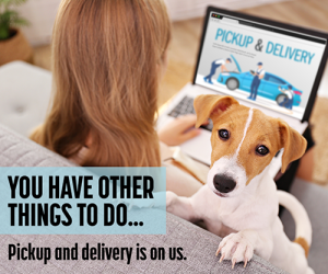 Pick Up and Delivery