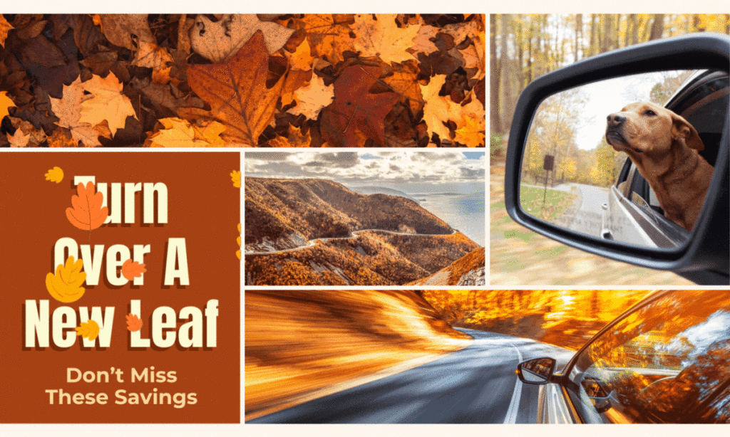 Turn Over a New Leaf