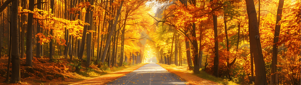 Fall Road No Text