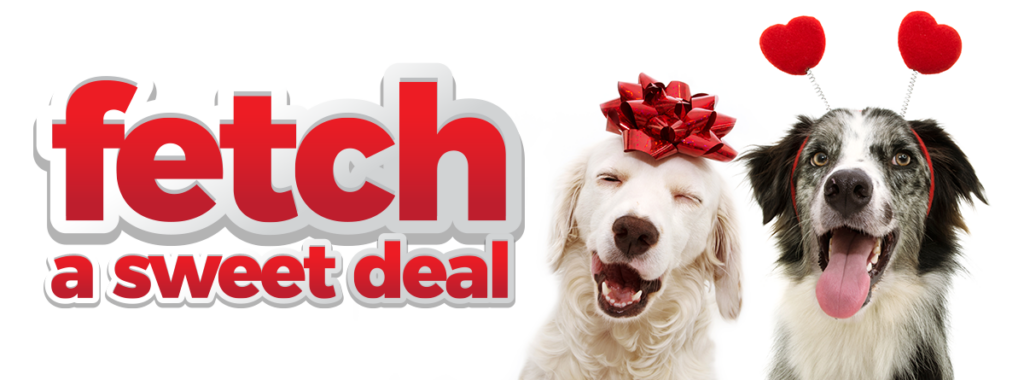Fetch a Sweet Deal