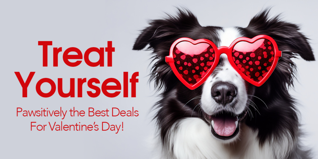 Treat Yourself Dog, Valentines