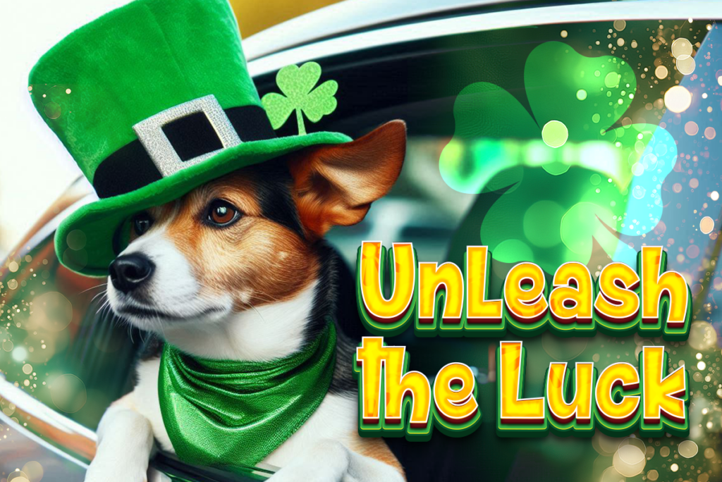 St. Patrick's Day Dog