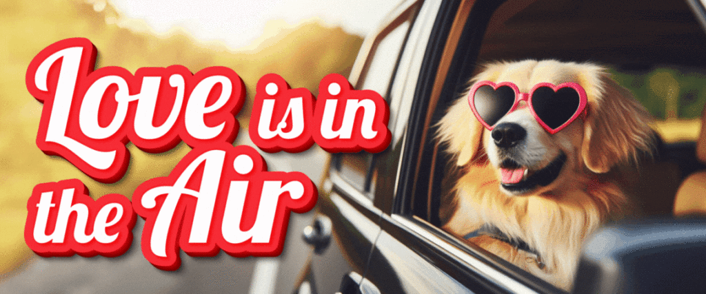 Love is in the Air, Valentines