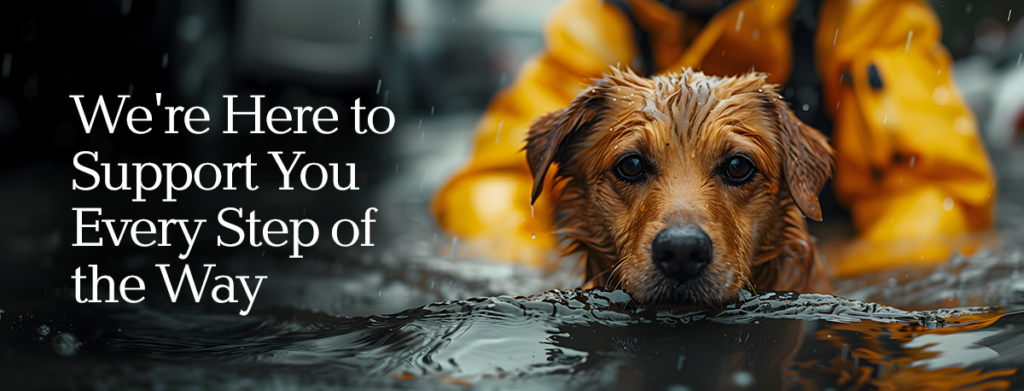 Natural Disasters, Floods, Fire