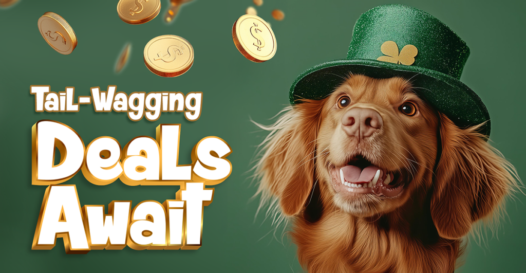 St. Patrick's Day Dog